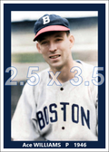 Ace Williams - 1946 Boston Braves - choose a size & style