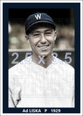 Ad Liska - 1929 Washington Senators - choose a size & style