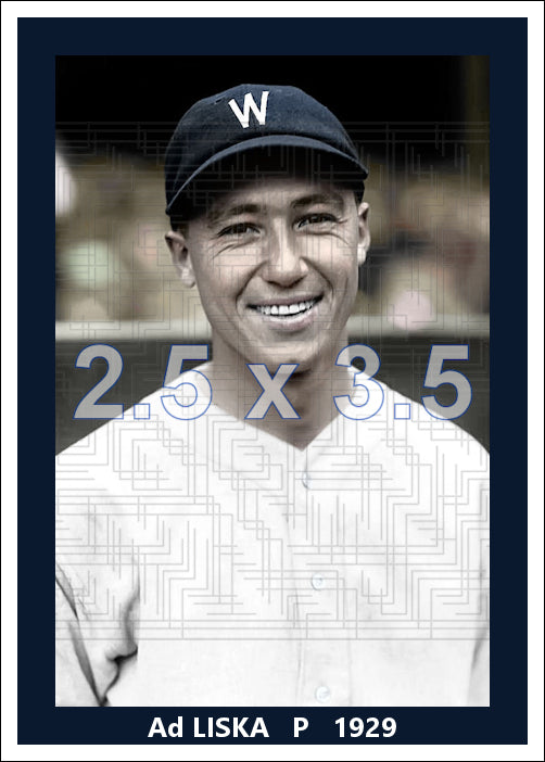Ad Liska - 1929 Washington Senators - choose a size & style
