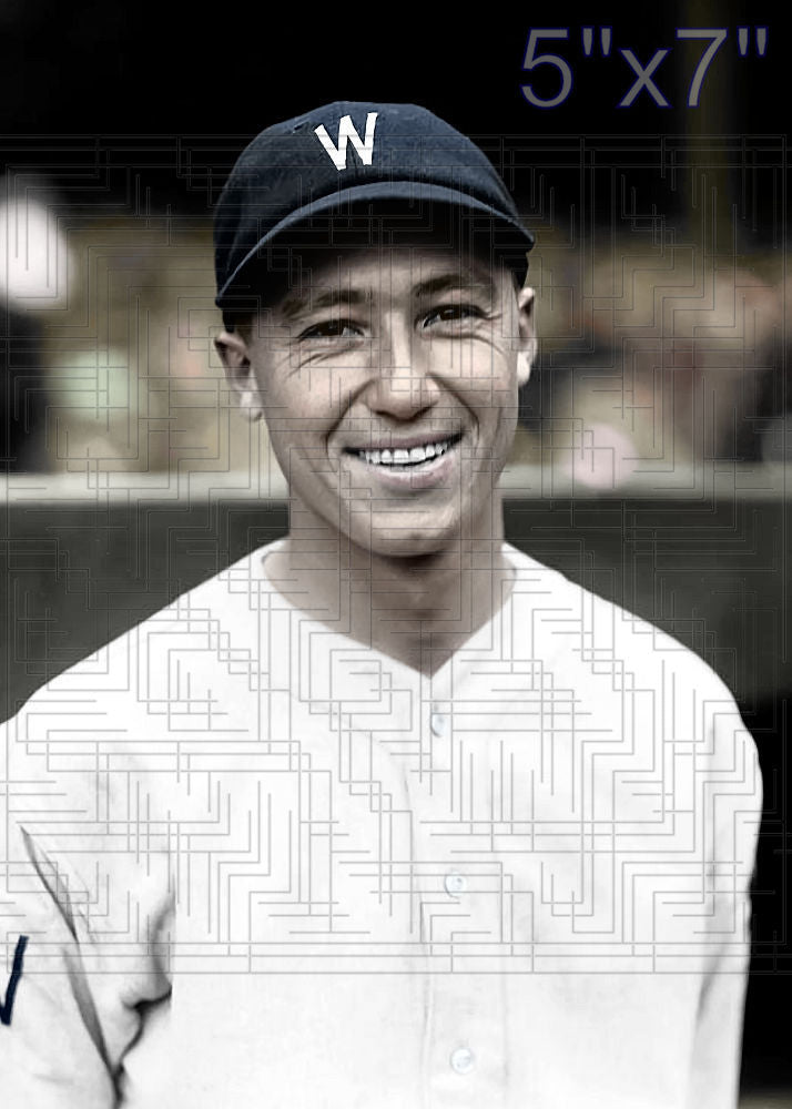 Ad Liska - 1929 Washington Senators - choose a size & style