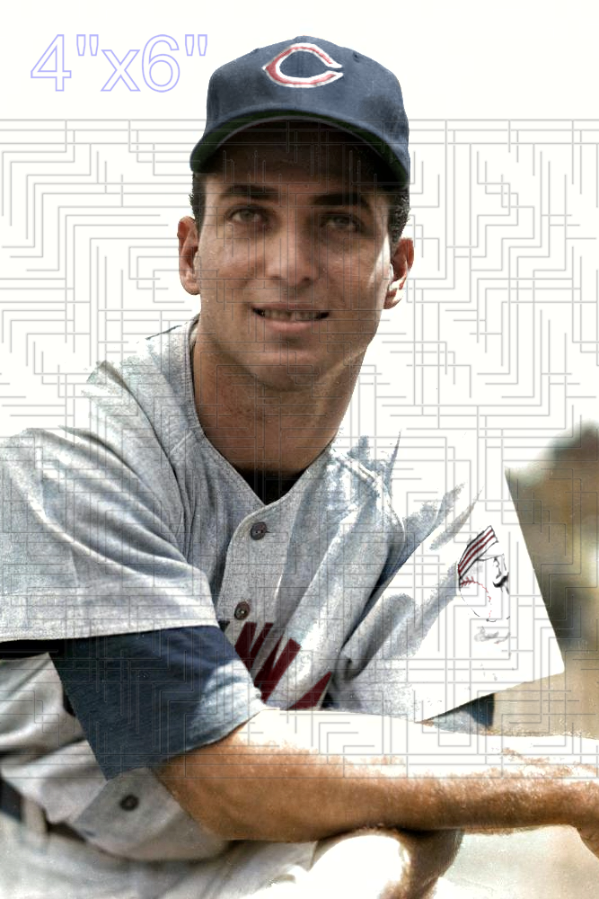 Al Silvera - 1955 Cincinnati Reds - choose a size & style