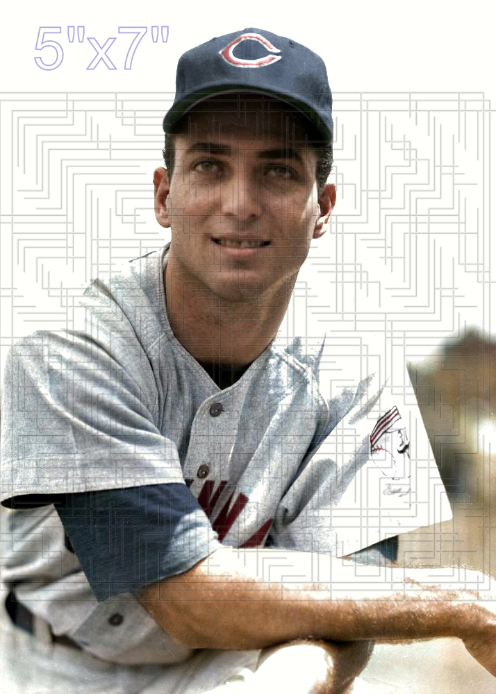 Al Silvera - 1955 Cincinnati Reds - choose a size & style