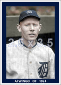 Al Wingo - 1924 Detroit Tigers - choose a size & style