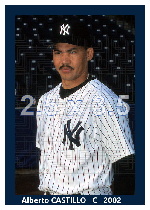 Alberto Castillo - 2002 New York Yankees - choose a size & style