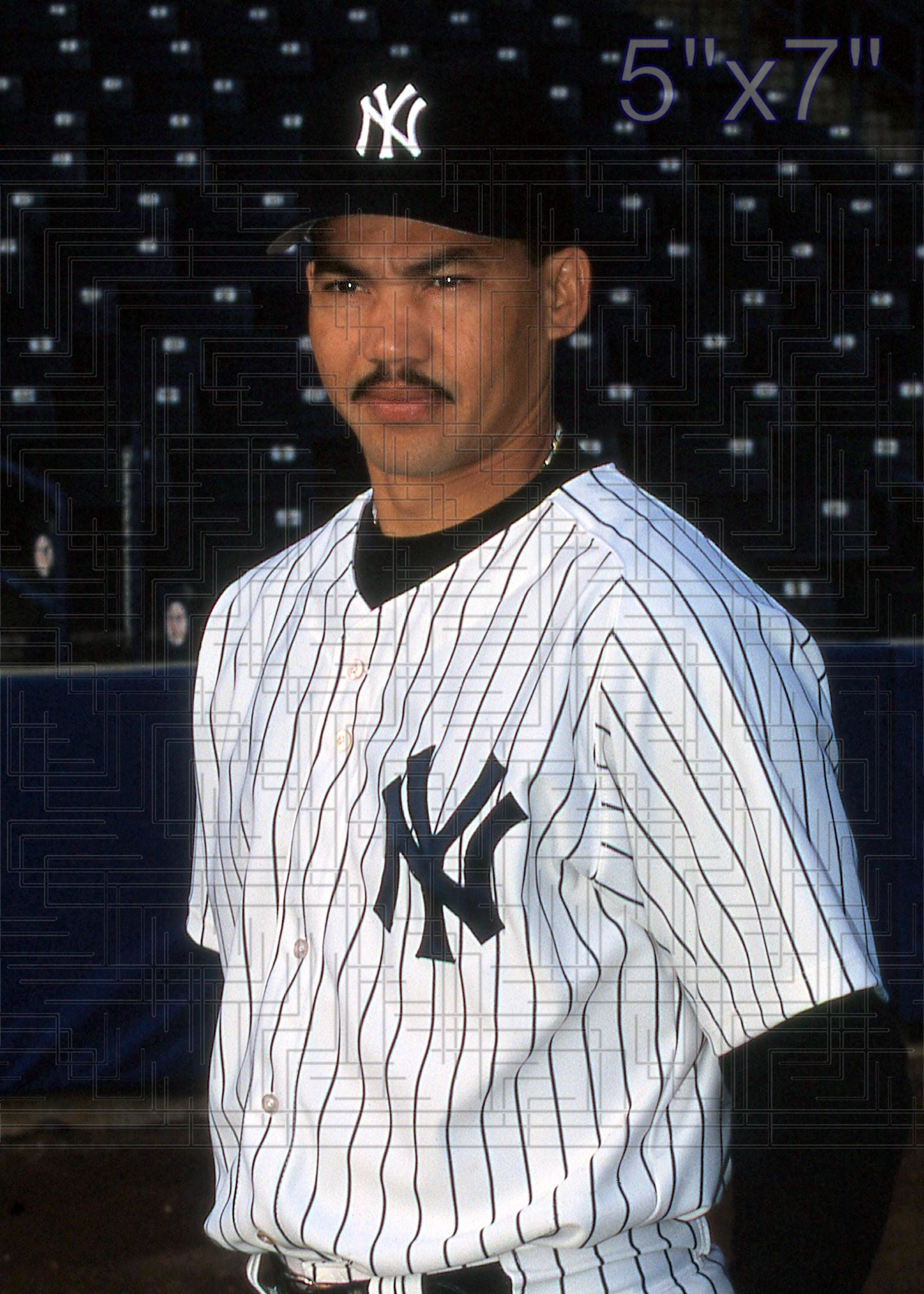 Alberto Castillo - 2002 New York Yankees - choose a size & style