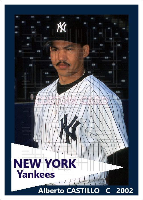 Alberto Castillo - 2002 New York Yankees - choose a size & style