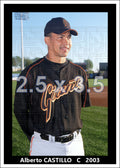Alberto Castillo - 2003 San Francisco Giants - choose a size & style