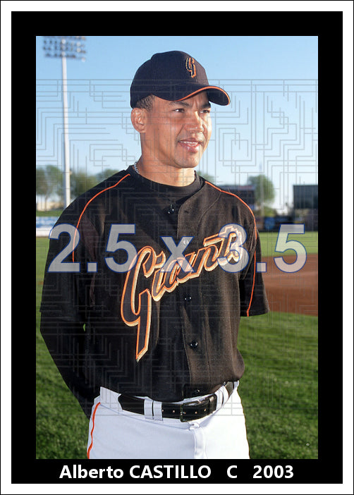 Alberto Castillo - 2003 San Francisco Giants - choose a size & style