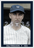 Alex Ferguson - 1925 Washington Senators - choose a size & style