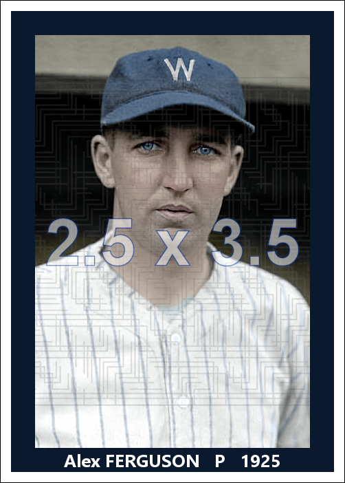 Alex Ferguson - 1925 Washington Senators - choose a size & style