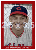 Alex Kampouris - 1937 Cincinnati Reds - choose a size & style