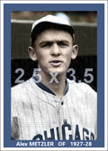 Alex Metzler - 1927-28 Chicago White Sox - choose a size & style