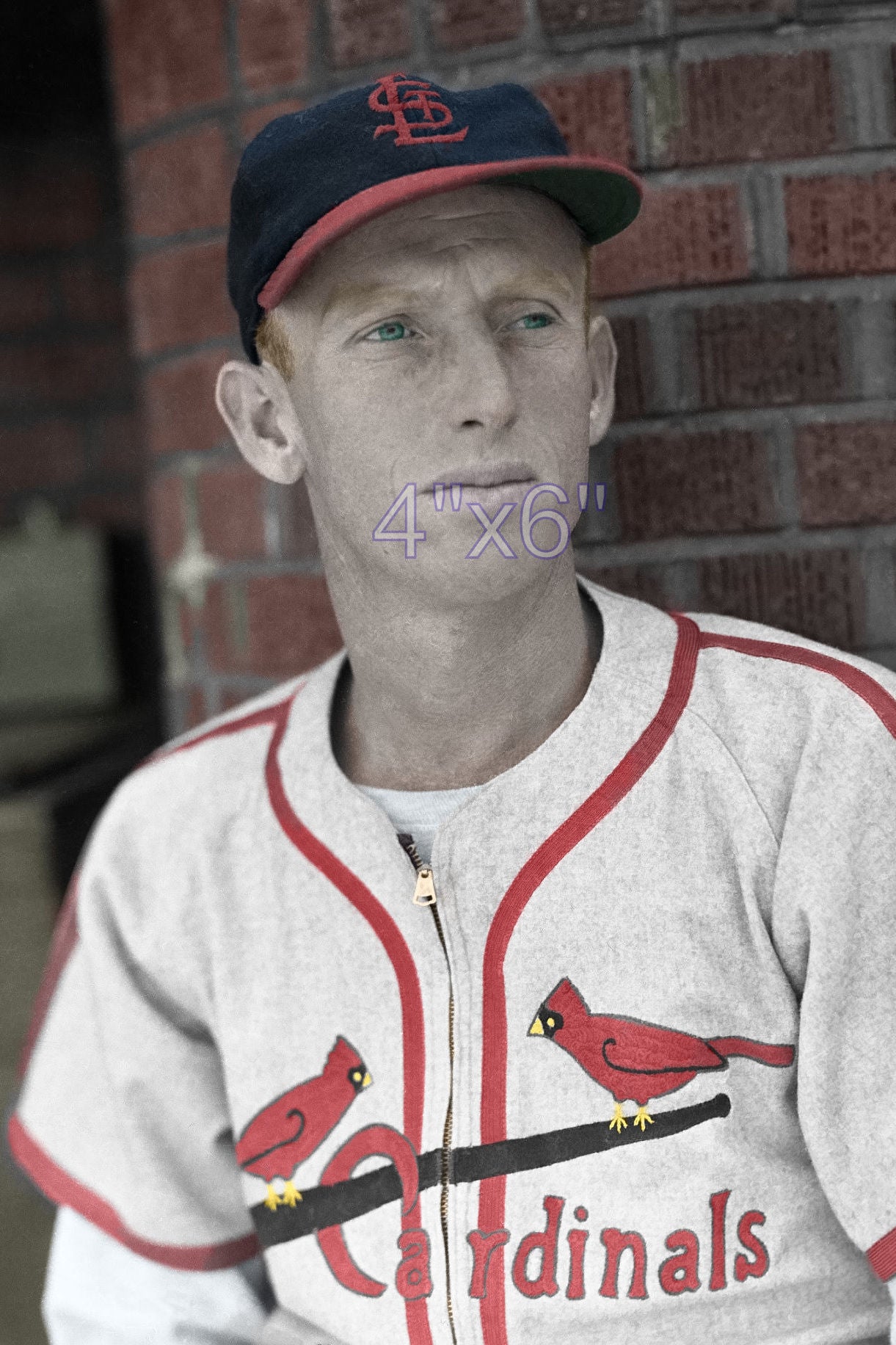 Alpha Brazle - 1943 St. Louis Cardinals - choose a size & style