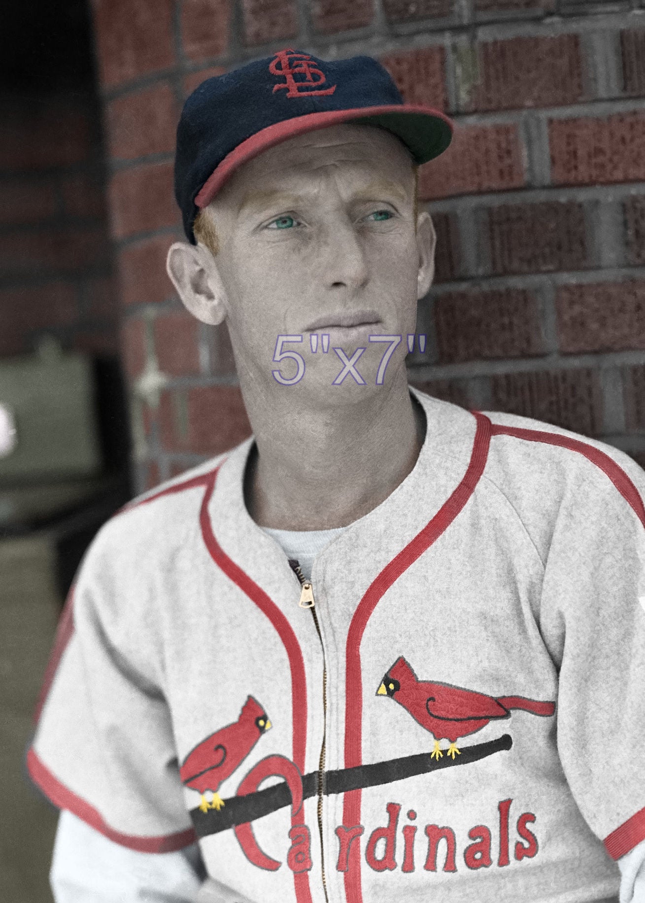 Alpha Brazle - 1943 St. Louis Cardinals - choose a size & style