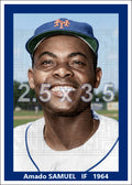 Amado Samuel - 1964 New York Mets - choose a size & style