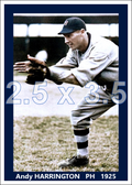 Andy Harrington - 1925 Detroit Tigers - choose a size & style