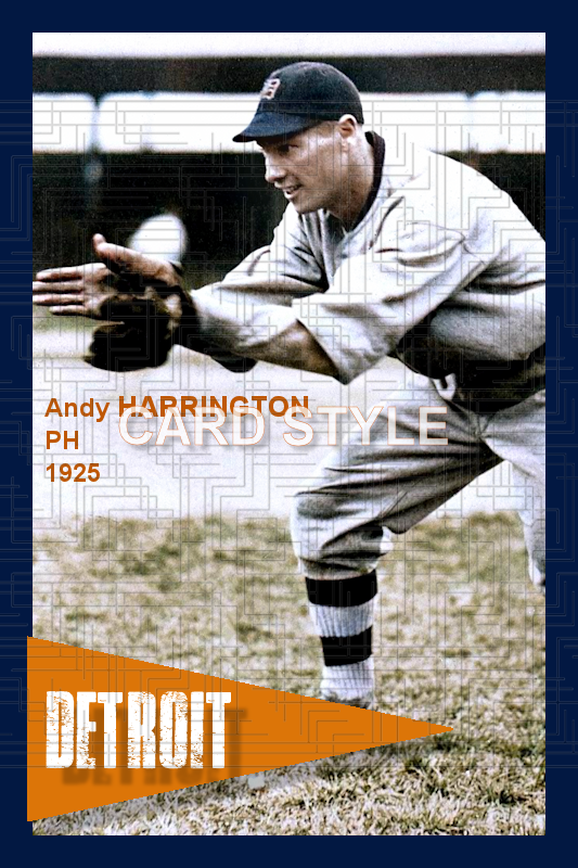 Andy Harrington - 1925 Detroit Tigers - choose a size & style