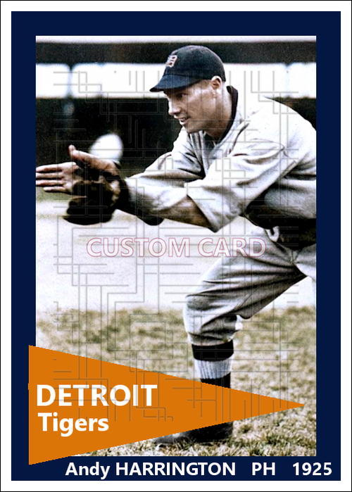Andy Harrington - 1925 Detroit Tigers - choose a size & style