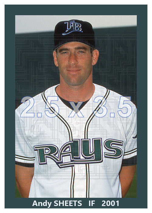 Andy Sheets - 2001 Tampa Bay Devil Rays - choose a size & style