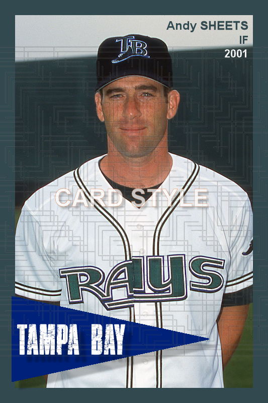 Andy Sheets - 2001 Tampa Bay Devil Rays - choose a size & style