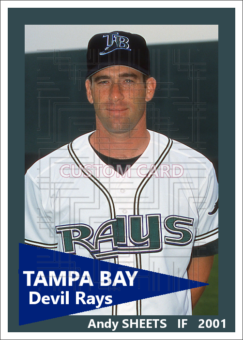 Andy Sheets - 2001 Tampa Bay Devil Rays - choose a size & style