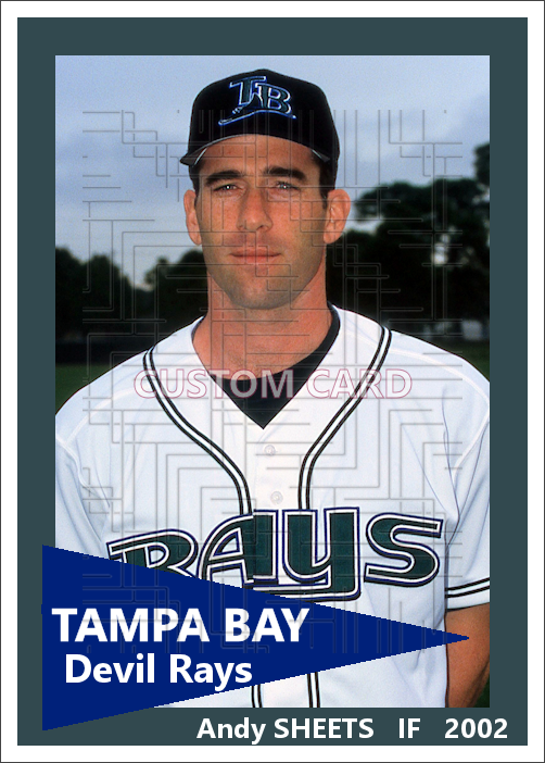 Andy Sheets - 2002 Tampa Bay Devil Rays - choose a size & style
