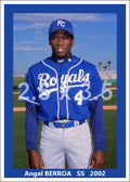 Angel Berroa - 2002 Kansas City Royals - choose a size & style