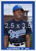 Angel Berroa - 2003 Kansas City Royals - choose a size & style