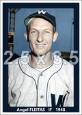 Angel Fleitas - 1948 Washington Senators - choose a size & style