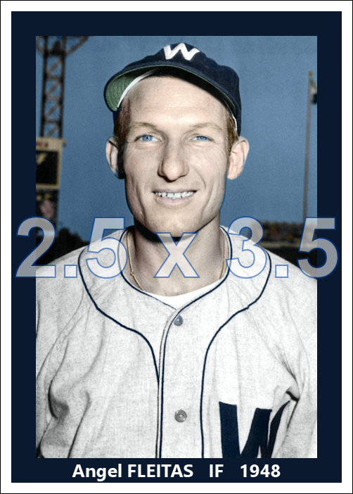 Angel Fleitas - 1948 Washington Senators - choose a size & style