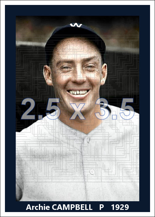 Archie Campbell - 1929 Washington Senators - choose a size & style