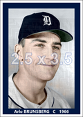 Arlo Brunsberg - 1966 Detroit Tigers - choose a size & style