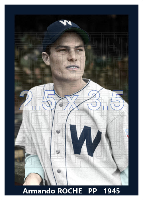 Armando Roche - 1945 Washington Senators - choose a size & style