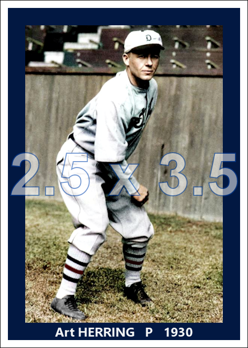 Art Herring - 1930 Detroit Tigers - choose a size & style