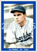 Art Parks - 1939 Brooklyn Dodgers - choose a size & style