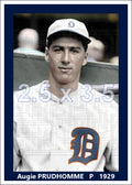 Augie Prudhomme - 1929 Detroit Tigers - choose a size & style