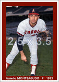 Aurelio Monteagudo - 1973 California Angels - choose a size & style