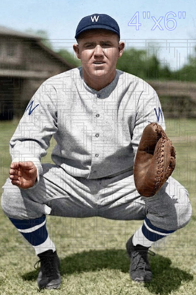 Babe Phelps - 1931 Washington Senators - choose a size & style