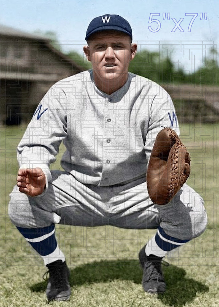 Babe Phelps - 1931 Washington Senators - choose a size & style