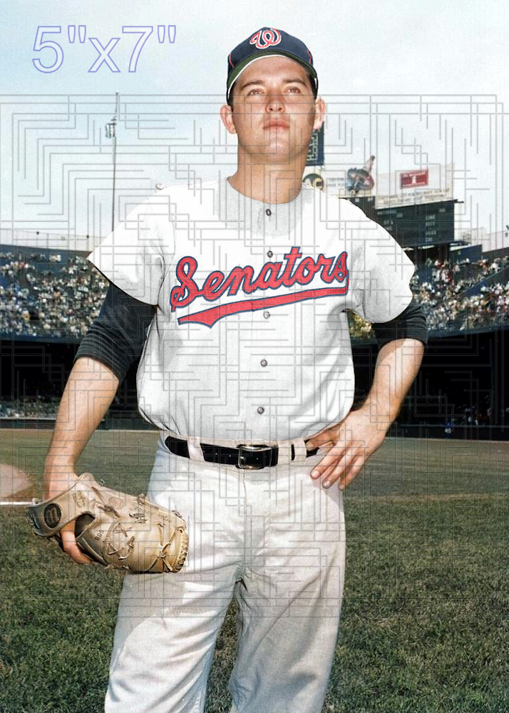Barry Moore - 1967 Washington Senators - choose a size & style