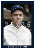 Bennie Tate - 1924 Washington Senators - choose a size & style