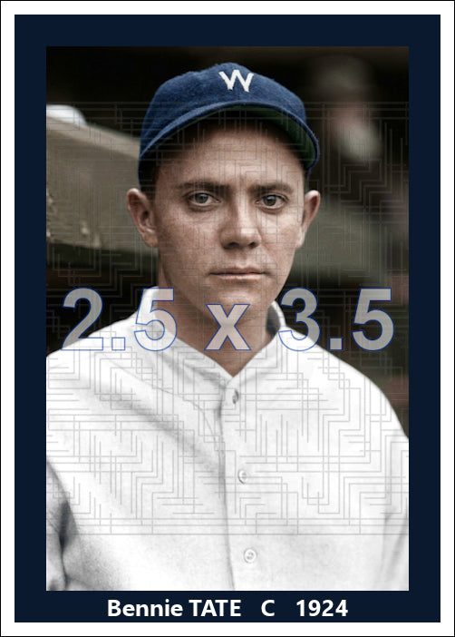 Bennie Tate - 1924 Washington Senators - choose a size & style