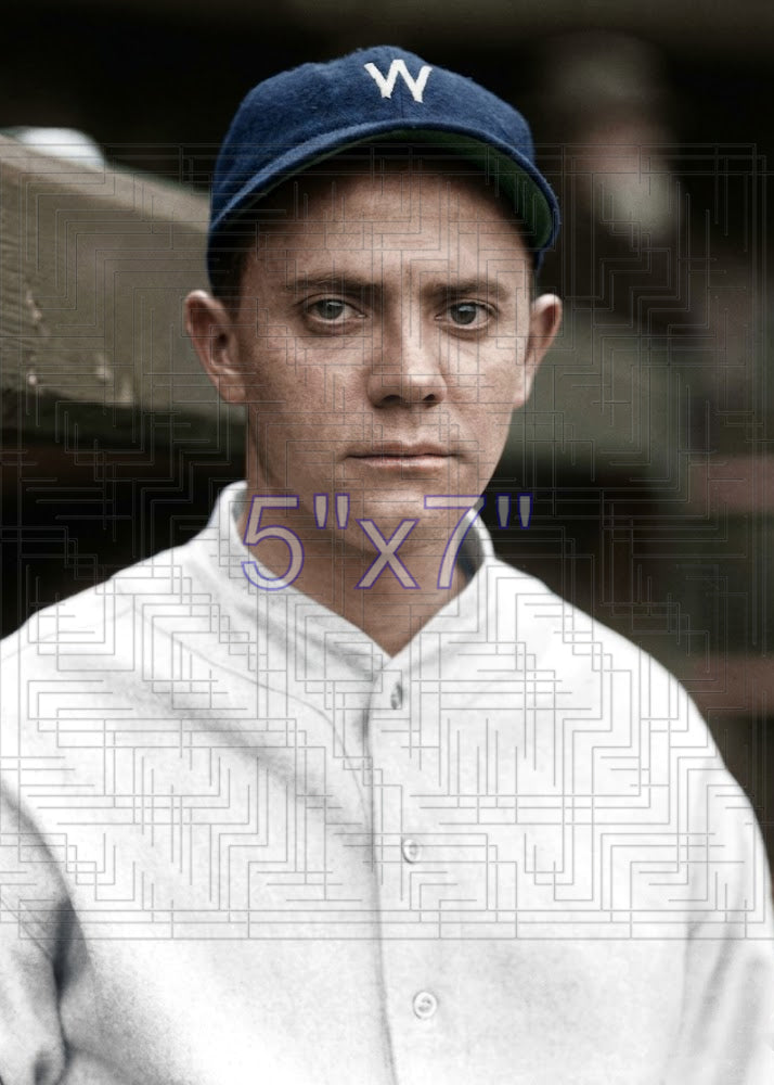 Bennie Tate - 1924 Washington Senators - choose a size & style