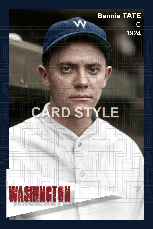 Bennie Tate - 1924 Washington Senators - choose a size & style
