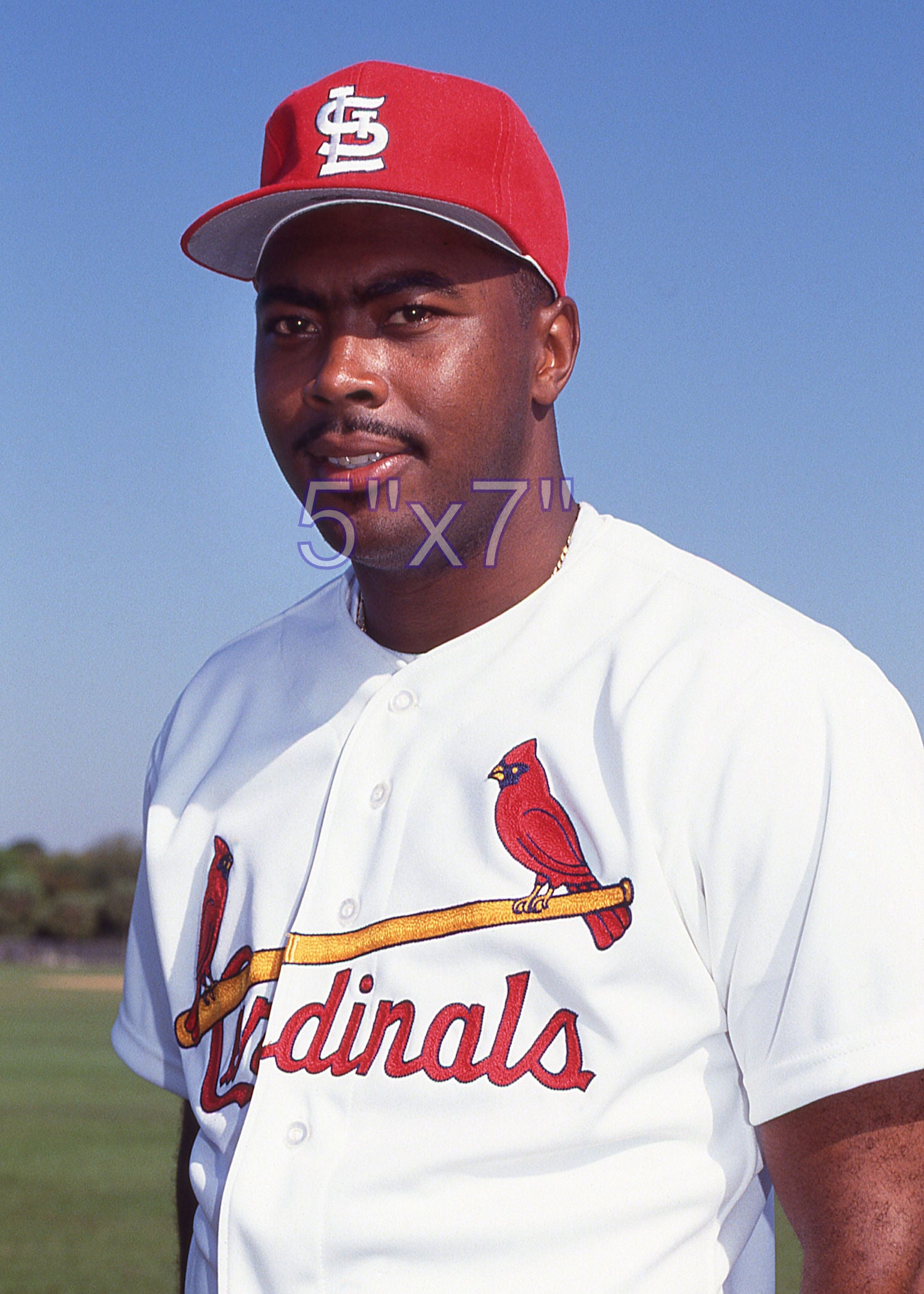 Bernard Gilkey - 1992 St. Louis Cardinals - choose a size & style