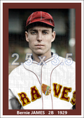 Bernie James - 1929 Boston Braves - choose a size & style