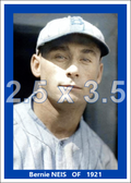 Bernie Neis - 1921 Brooklyn Robins - choose a size & style