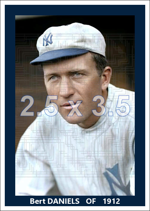 Bert Daniels - 1912 New York Highlanders - choose a size & style