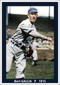 Bert Gallia - 1915 Washington Senators - choose a size & style