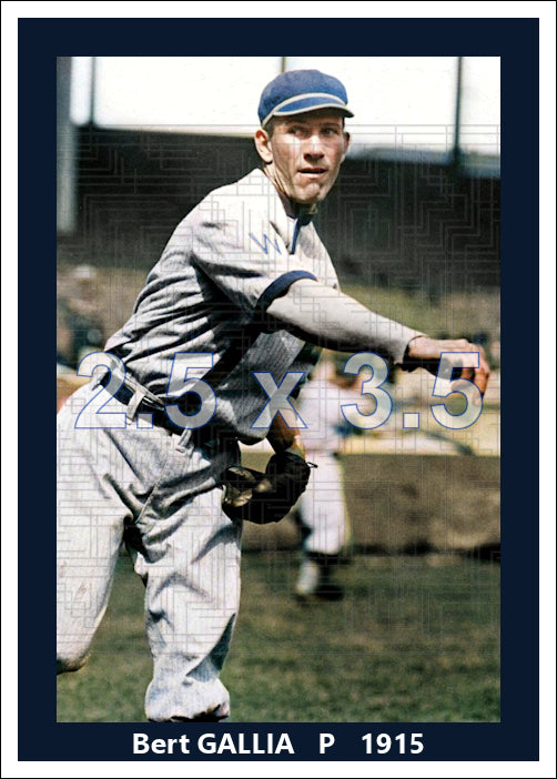 Bert Gallia - 1915 Washington Senators - choose a size & style